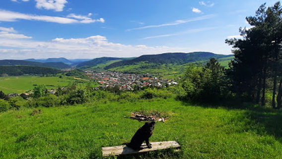 Holý vršok