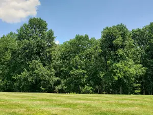 Weldon Park