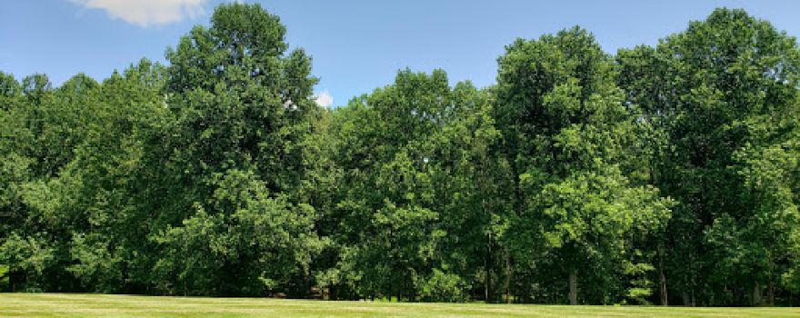 Weldon Park