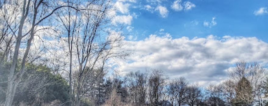 Old Orchard Park