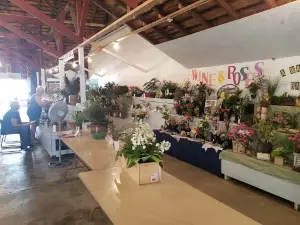 Burt County Fairground