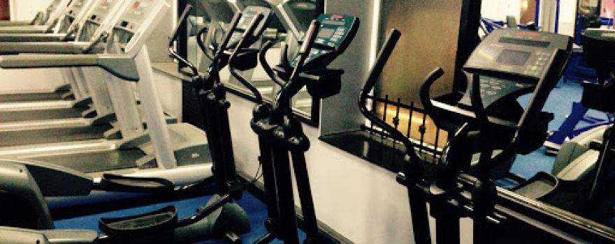 Muscle & Fitness Gym