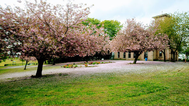 Tinsley Park Golf Course