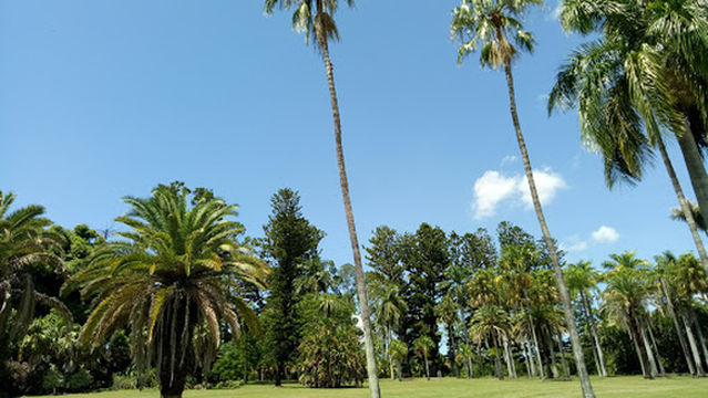 Rockhampton Golf Club