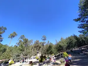 Paraje Caja De Agua