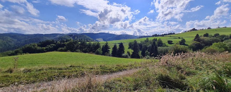 Šarkanova diera