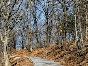 로데오 공원