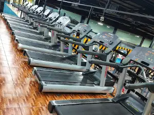 Our Golden Gym