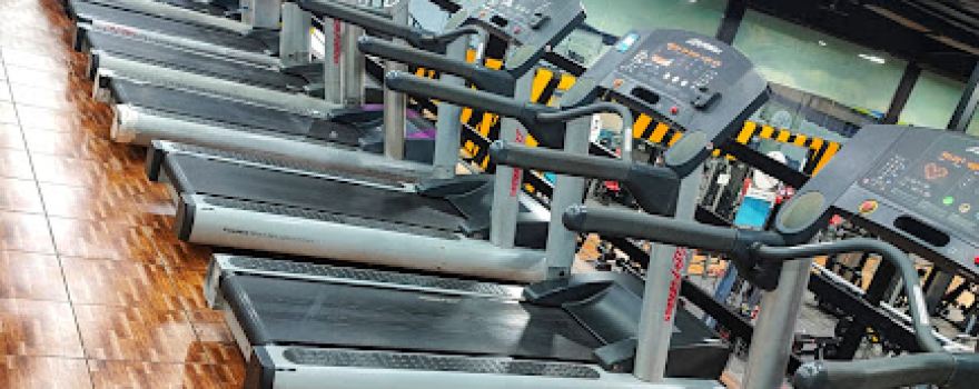 Our Golden Gym