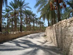 Regional Museum of the sixth state of the historic Colonel Mohammed Shabani