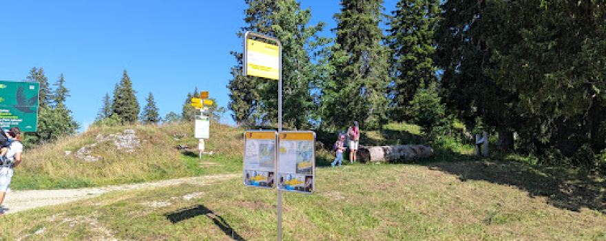 Sentier de la fourmi des bois