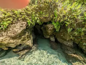 Blue Spring Recreation Area