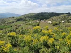 Yuvacık Barajı Yürüyüş Parkuru