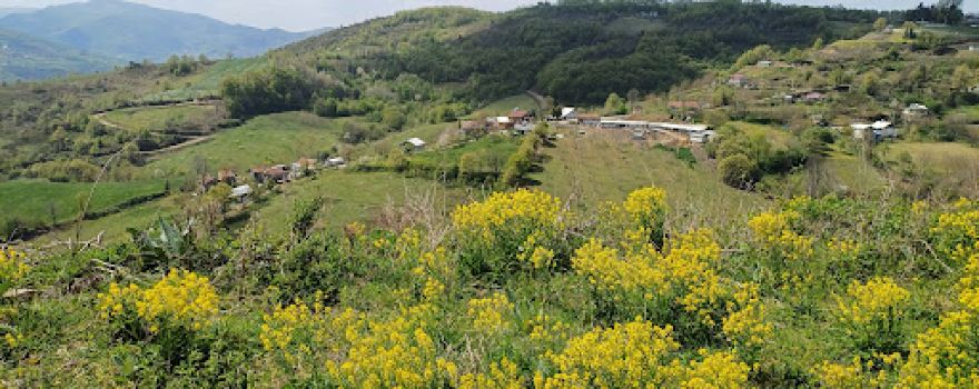 Yuvacık Barajı Yürüyüş Parkuru