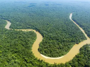 Rio Purus