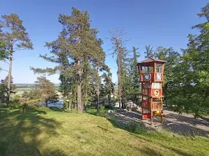 Lookout Hans Kudlich
