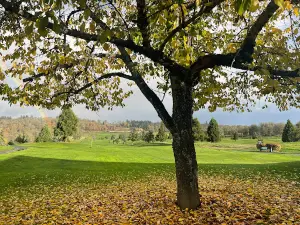 Cross Creek Golf Course