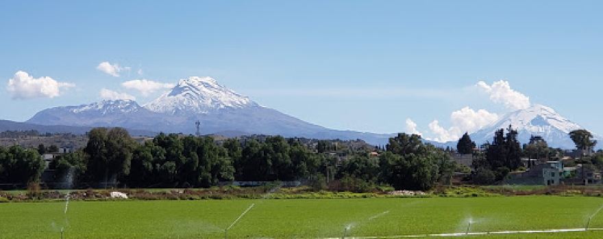 Duck football field Baeza