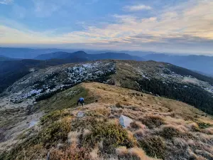 Penteleu