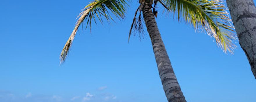 San Blas Paradise Sailing