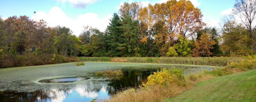 Olney Manor Recreational Park
