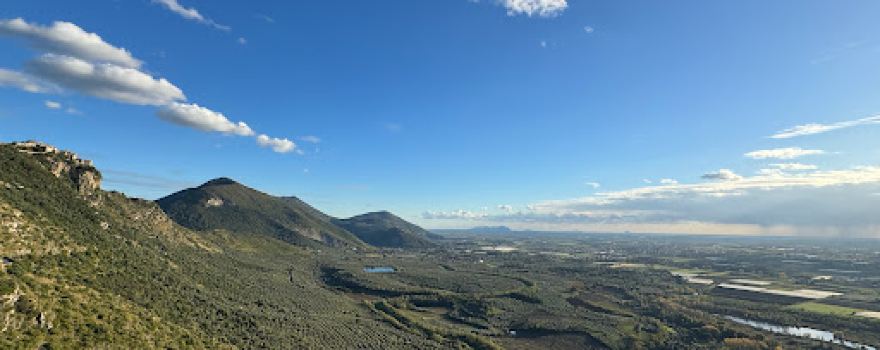 Panoramic Sight