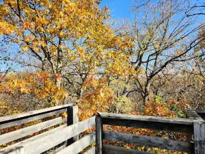 Veteran's Park