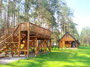 Camping Forest Glade