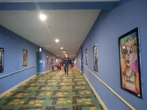 페토스키 시네마