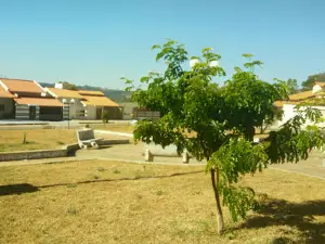 Peace Square