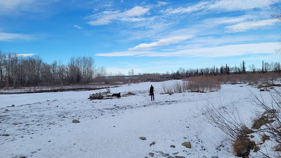 Diamond Valley Offleash Park