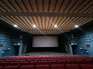 Kino 3D Przedwiośnie KOK