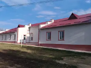 Stadion Frumuşica