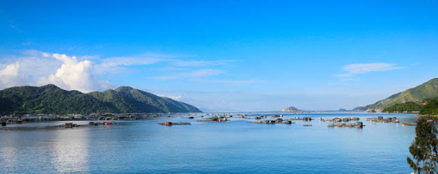 Vung Ro Bay