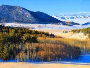 Collegiate Peaks Overlook