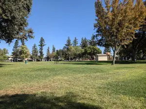 Ferns Park