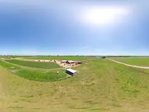 The Berry Dairy