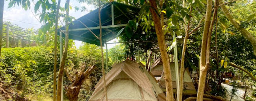 Suối Mơ Dốc Tình Glamping & Retreat Ninh Thượng Ninh Hoà Khánh Hoà