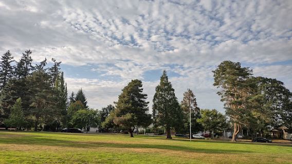 Bard Park