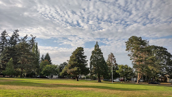 Forest Grove