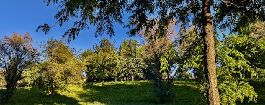 Parco Fluviale Surdo