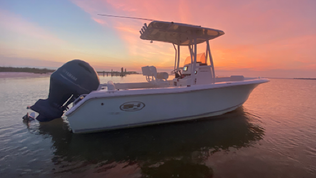 Dolphin, Sunset, And Snorkel Boat Cruise - Panama City Beach