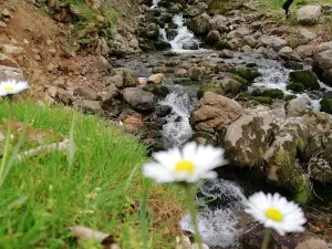 Sêvek Mesire Alanı