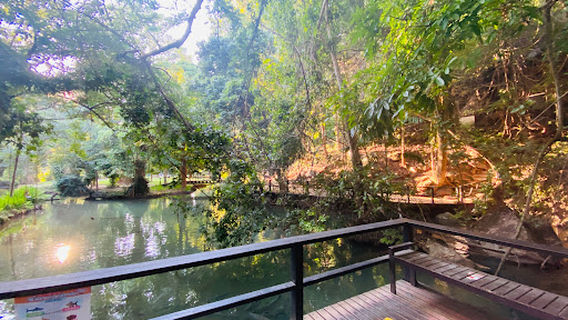 Tham Pla (Fish Cave)