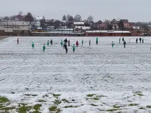 Ledovyy Dvorets