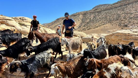 Feynan wild camp