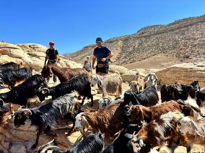 Feynan wild camp