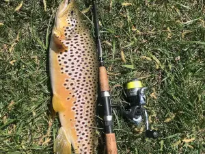 Deano's Smoked Trout