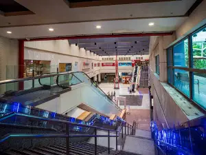 Multiplex