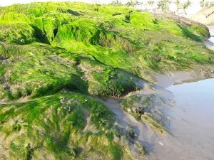 das Pedras beach